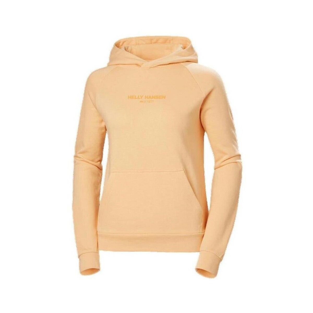 Φούτερ Helly Hansen W Core