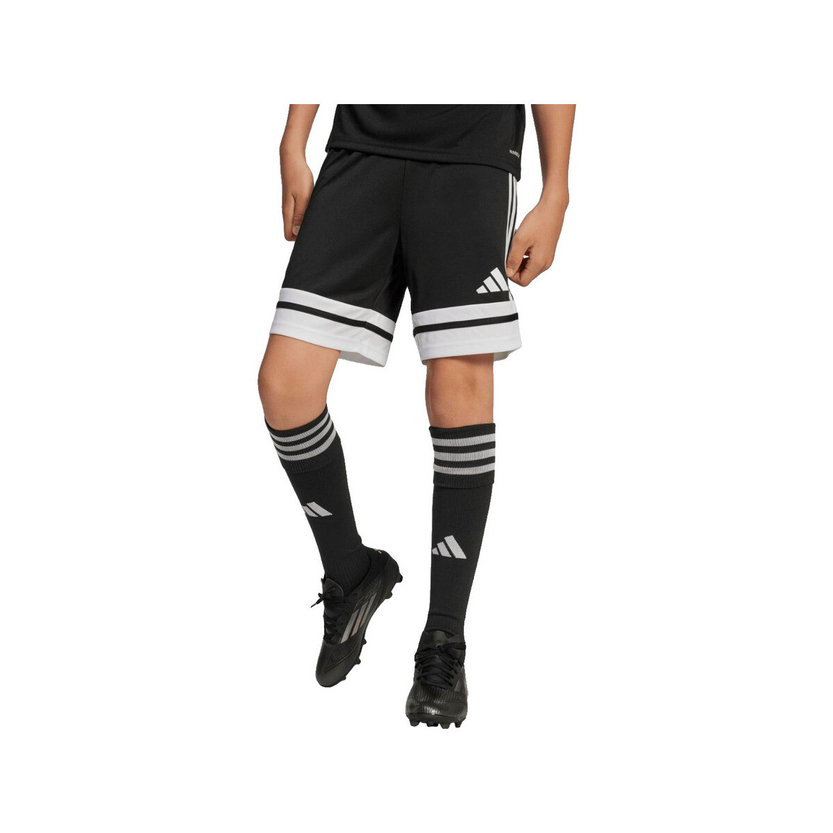 Shorts & Βερμούδες adidas Shorts squadra 25 100% polyester