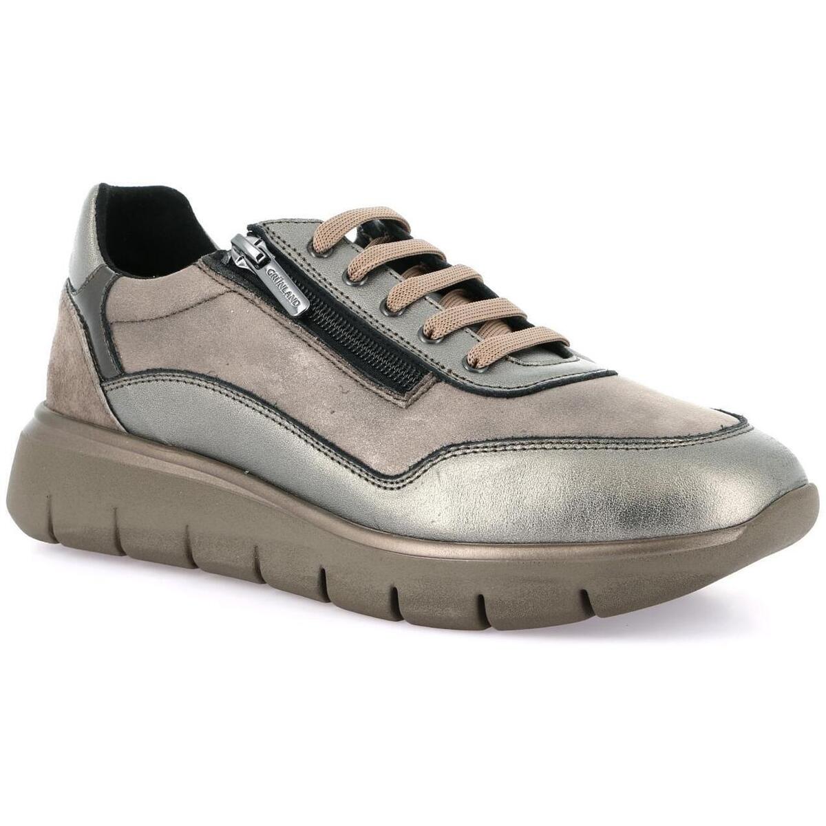 Oxfords Grunland DSG-SC6396