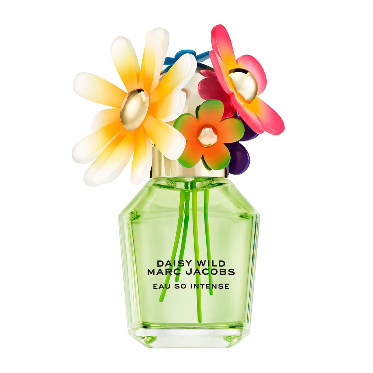 Daisy Wild Eau So Intense Eau De Parfum | 50ml
