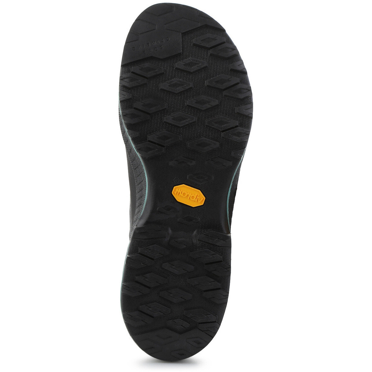 Πεζοπορίας La Sportiva TX4 EVO W'S 37C900736 CARBON/ZEST