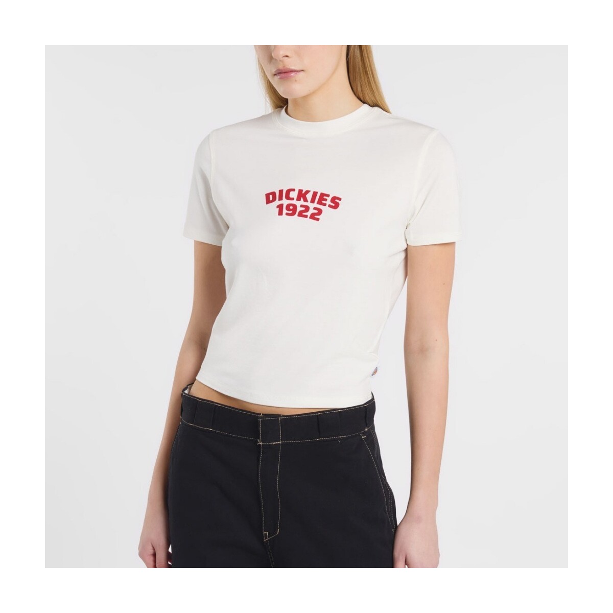 T-shirts & Polos Dickies DK0A4Z8FC481 CENTER LOGO