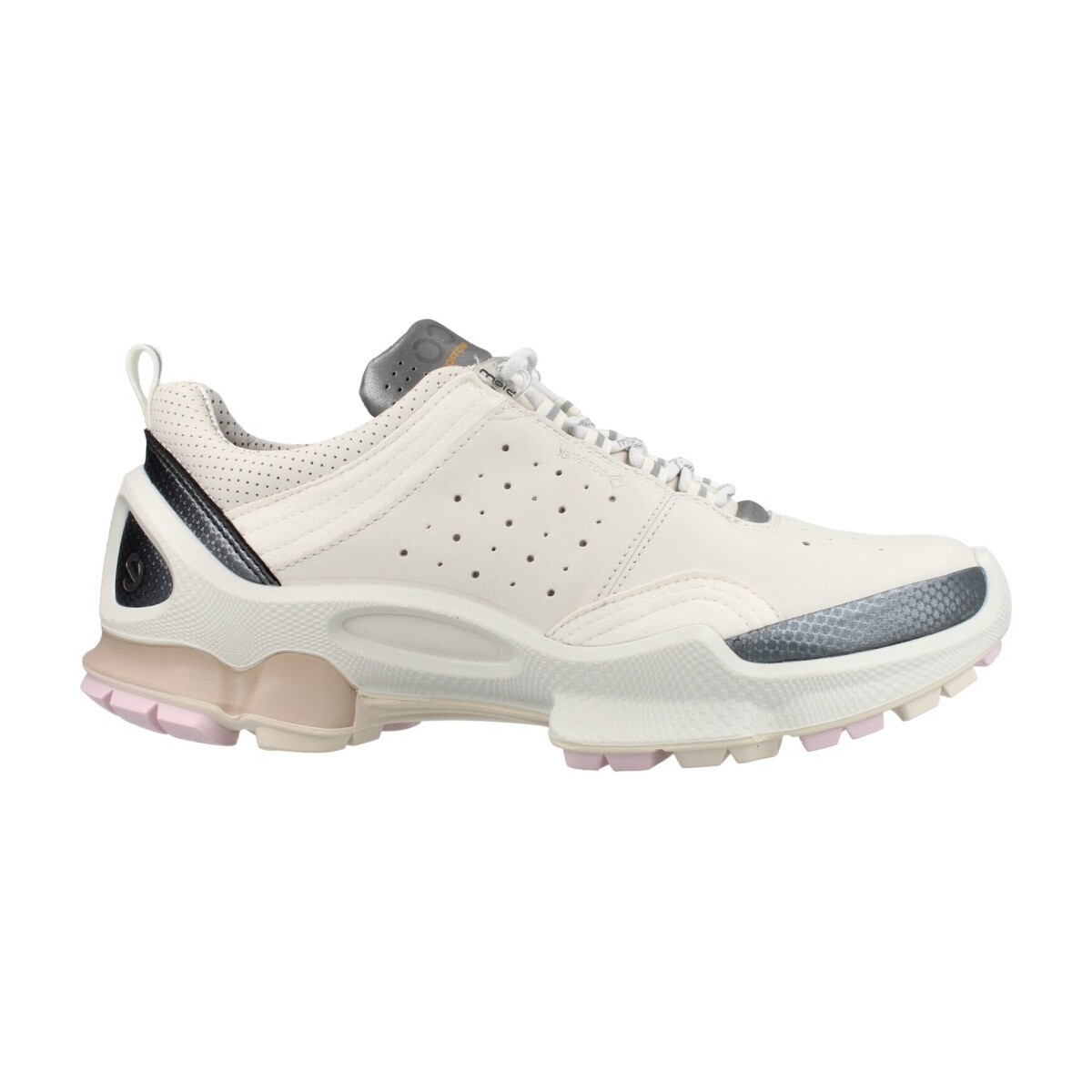 Sneakers Ecco Biom C2-trail W Lea Gtx