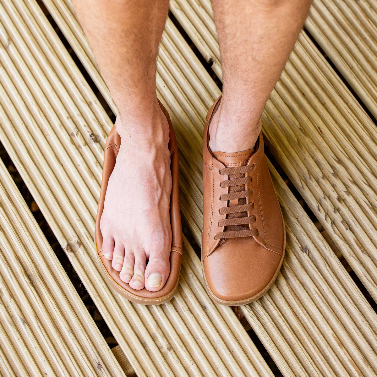 Xαμηλά Sneakers El Naturalista 259101167005
