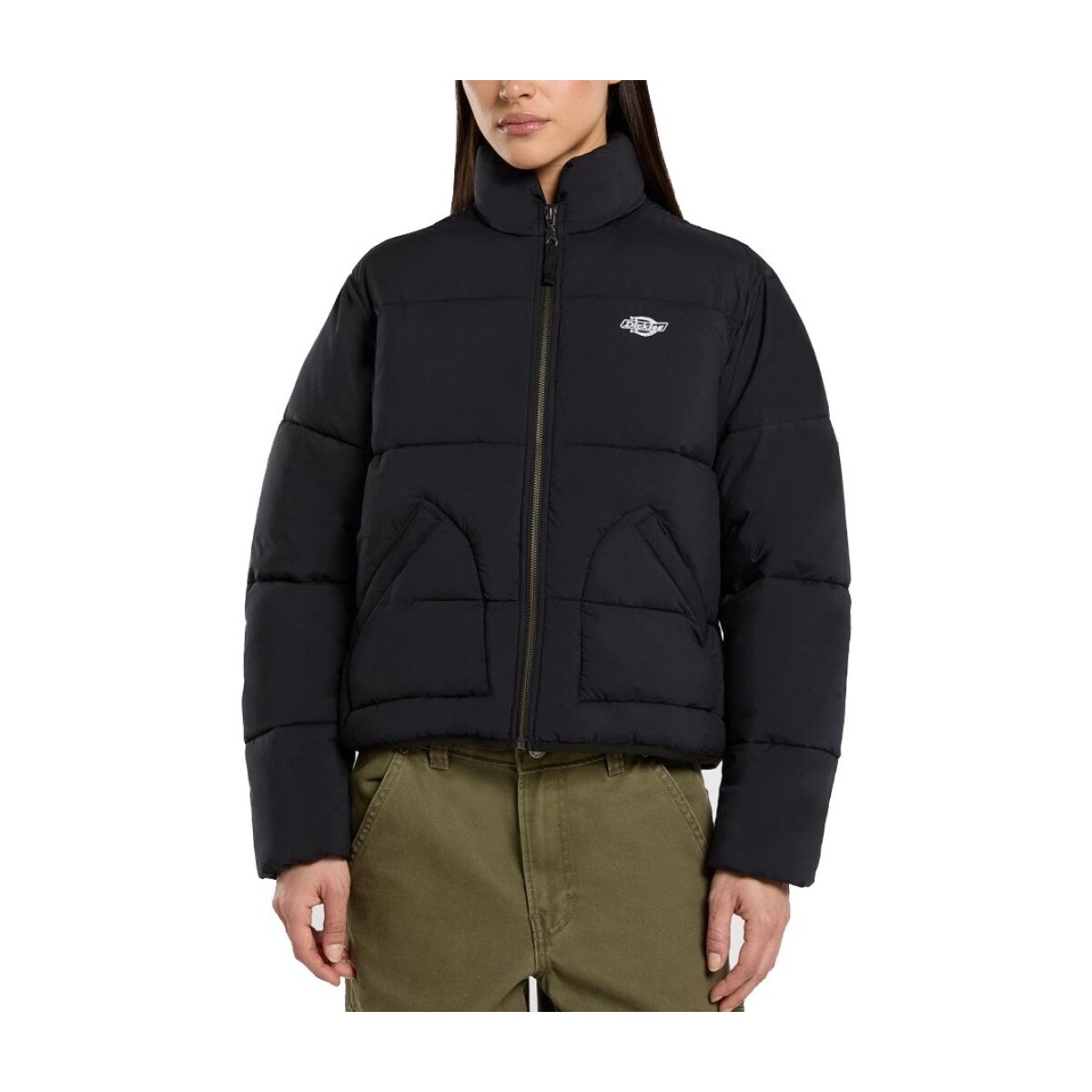 Χοντρό μπουφάν Dickies SUMMERDALE