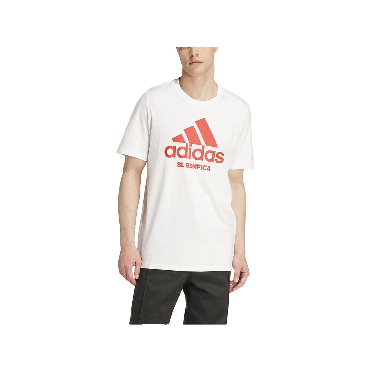 T-shirt με κοντά μανίκια adidas T-shirt Benfica Seasonal Graphic 100% coton