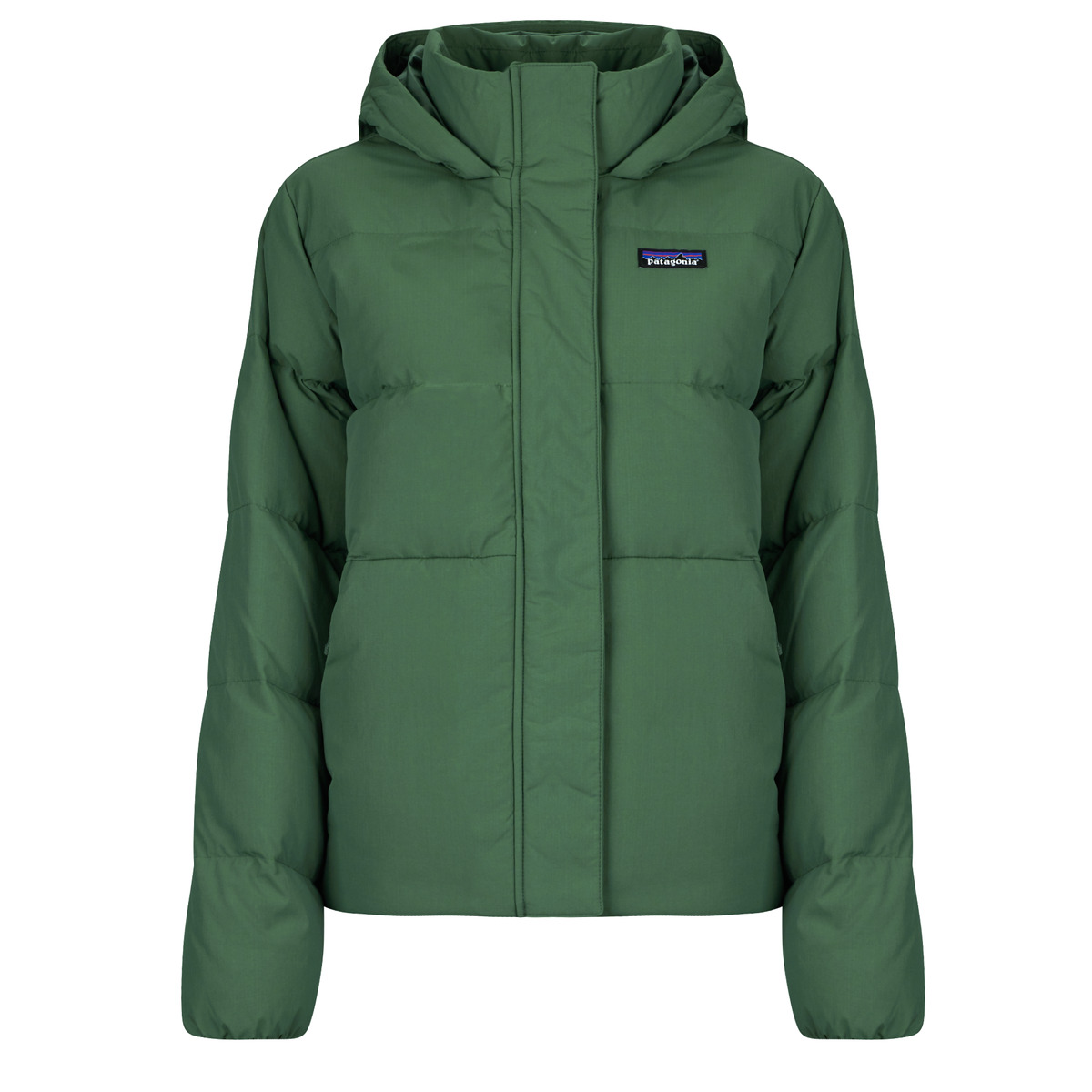 Χοντρό μπουφάν Patagonia W'S SISAR DOWN PARKA