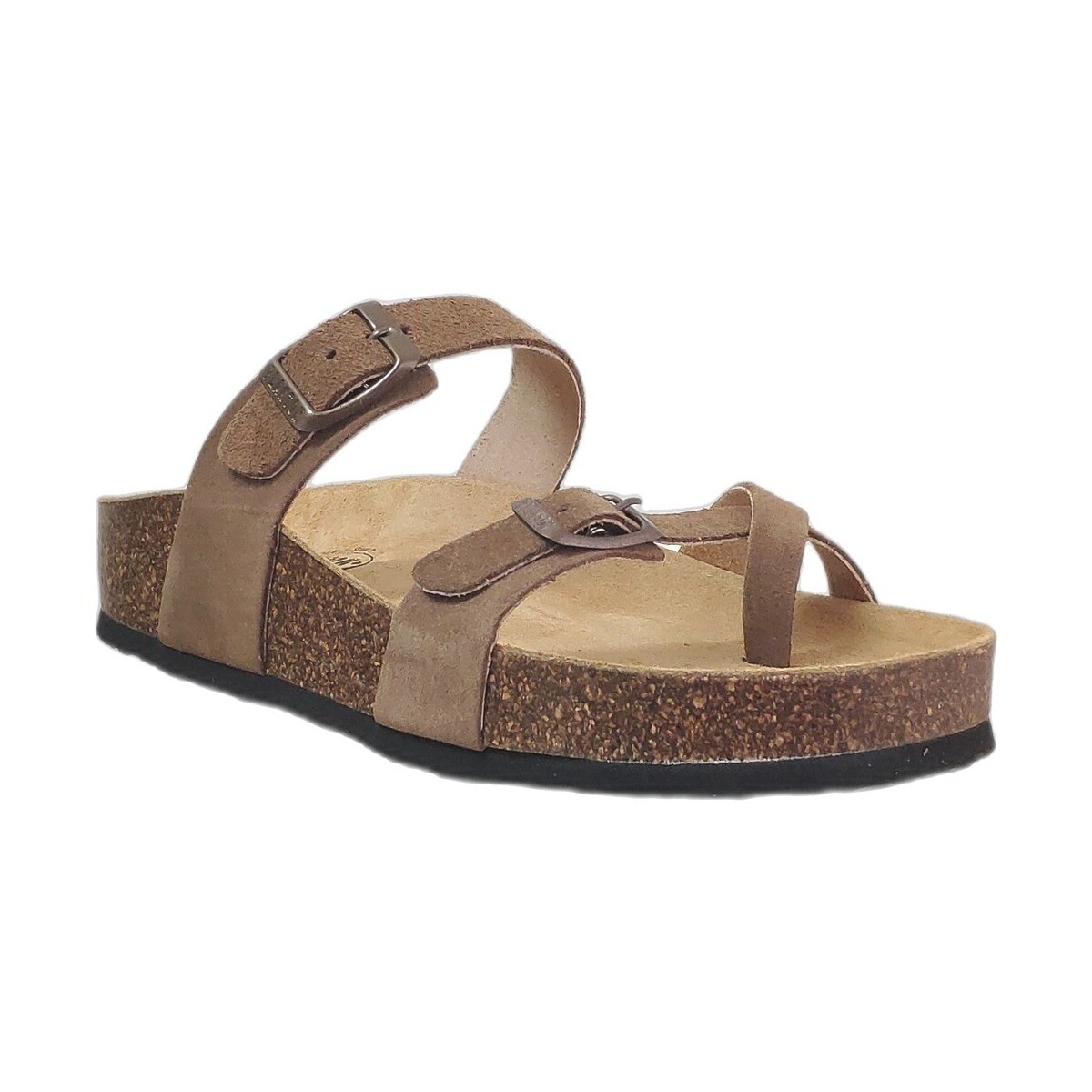 Mules Plakton Cp bombay