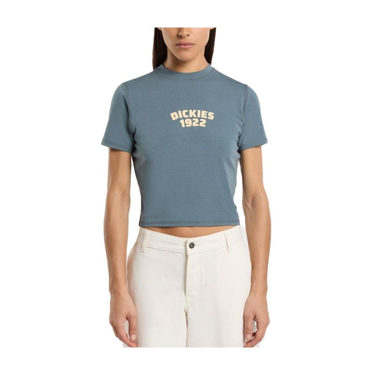 T-shirt με κοντά μανίκια Dickies Dk0a4z8fg701 Center Logo