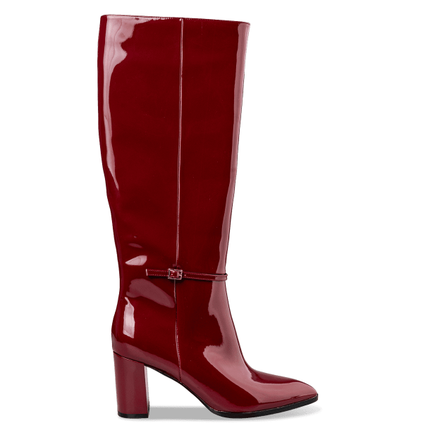 POINTED TOE SHINY BOOTS