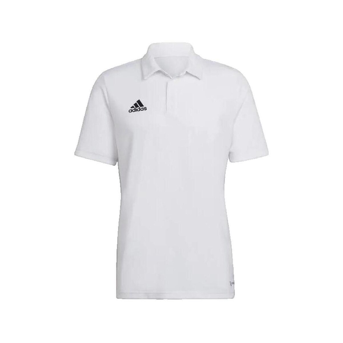 Πόλο με κοντά μανίκια adidas Polo Entrada 22 manches courtes blanc