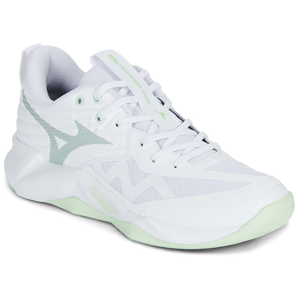Παπούτσια Sport Mizuno WAVE MOMENTUM PRO