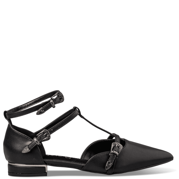 POINTY BALLERINAS
