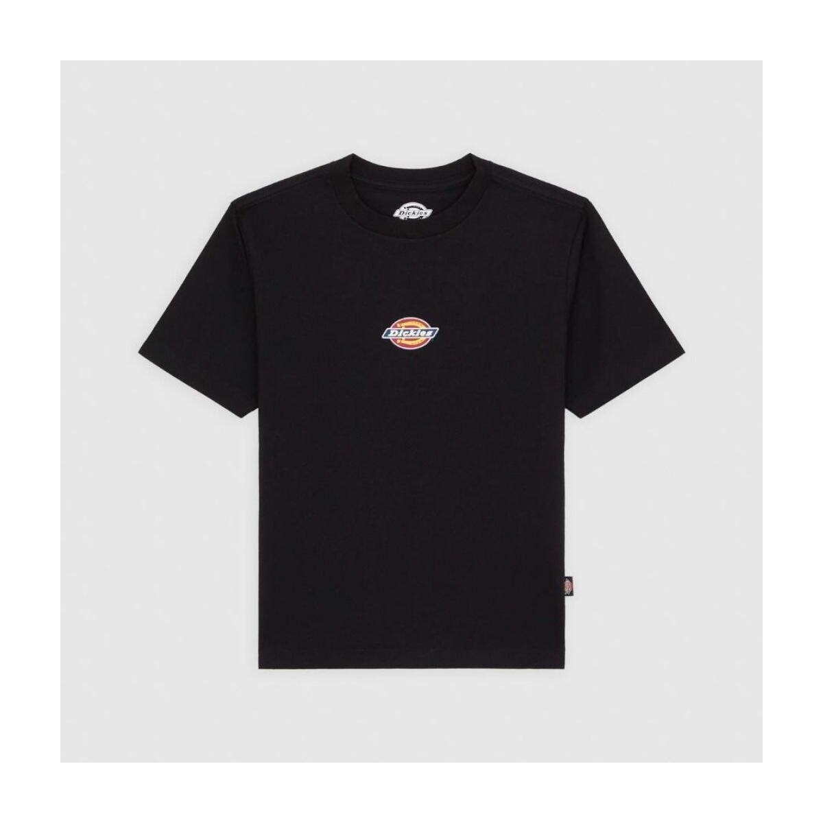 T-shirt με κοντά μανίκια Dickies MAPLE VALLEY REG TEE