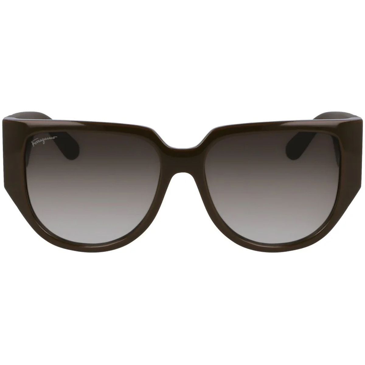 óculos de sol Salvatore Ferragamo SF1088SE