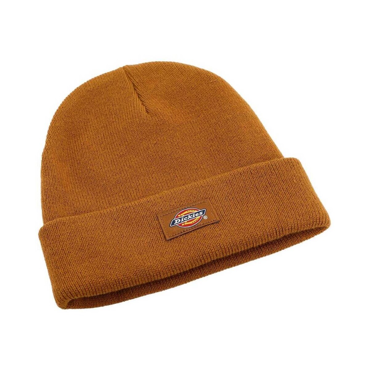 Σκούφος Dickies GIBSLAND