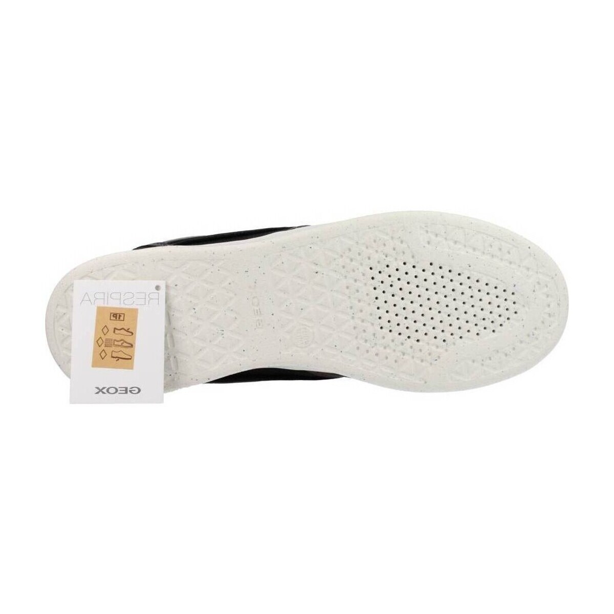Sneakers Geox D JAYSEN