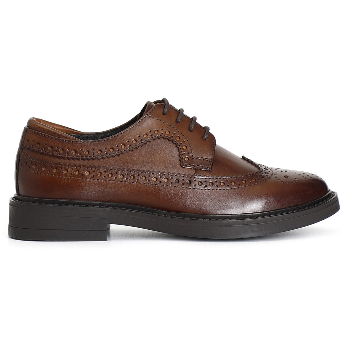 Derbies Café Noir C1XR1043