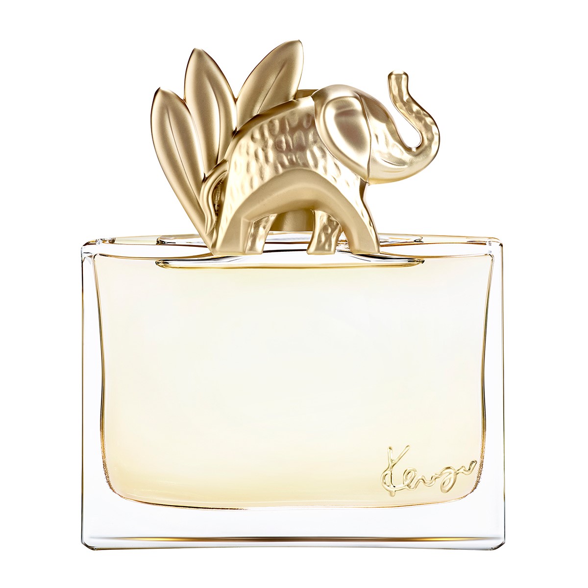 Jungle Elephant Eau de Parfum | 100ml