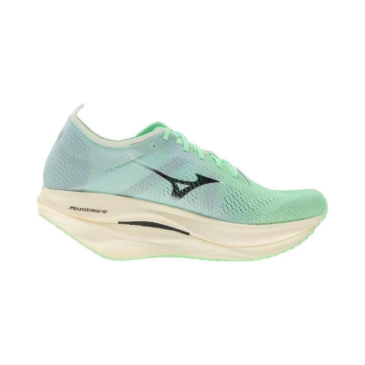 Παπούτσια για τρέξιμο Mizuno Wave Rebellion Pro 3