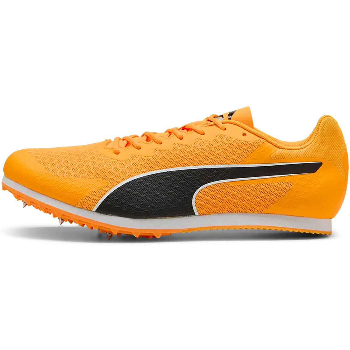 Παπούτσια για τρέξιμο Puma Evospeed Star 9