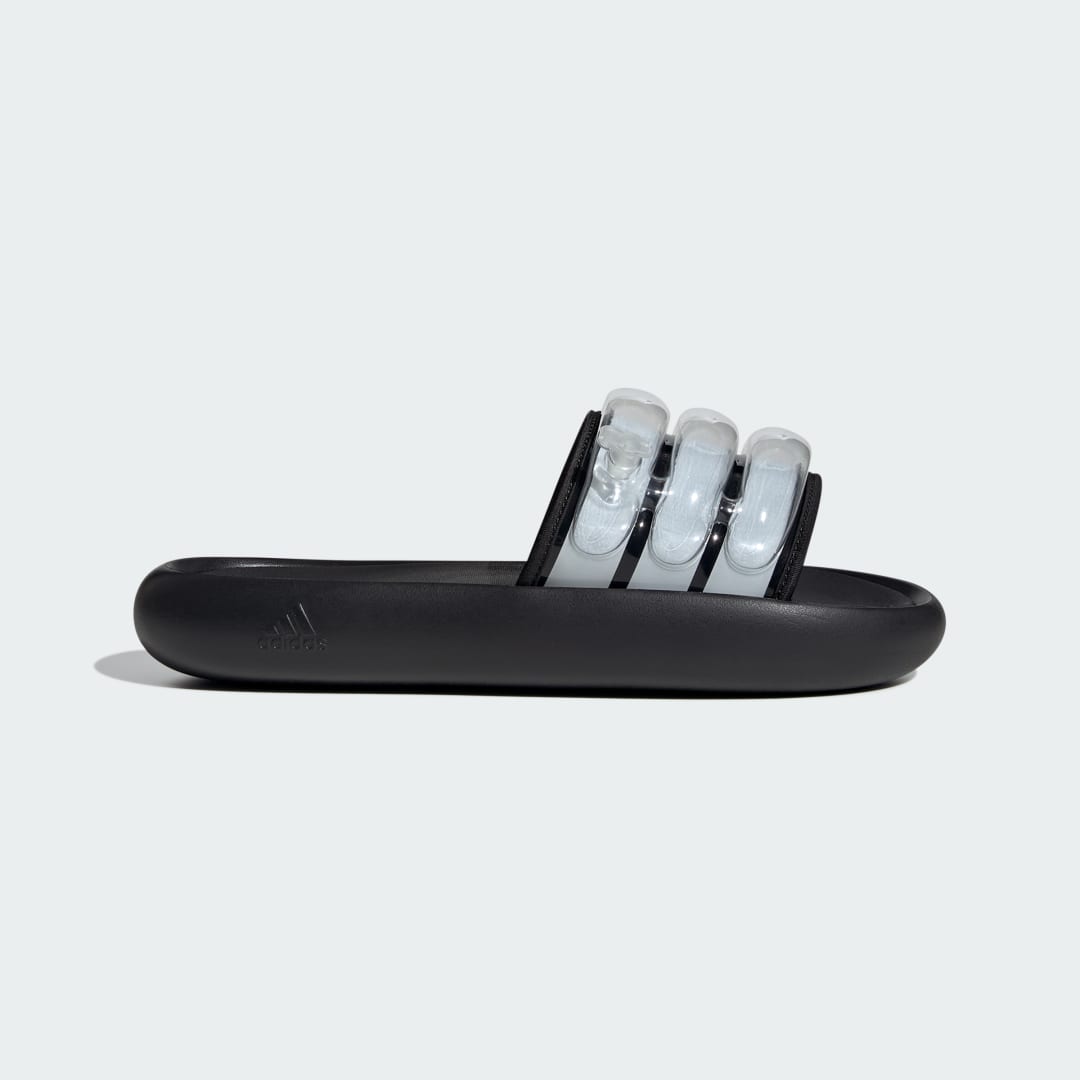 ZPLAASH Slides