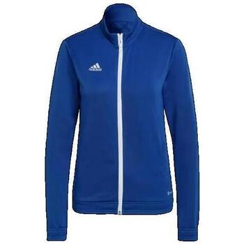 Σακάκι/Blazers adidas Entrada 22