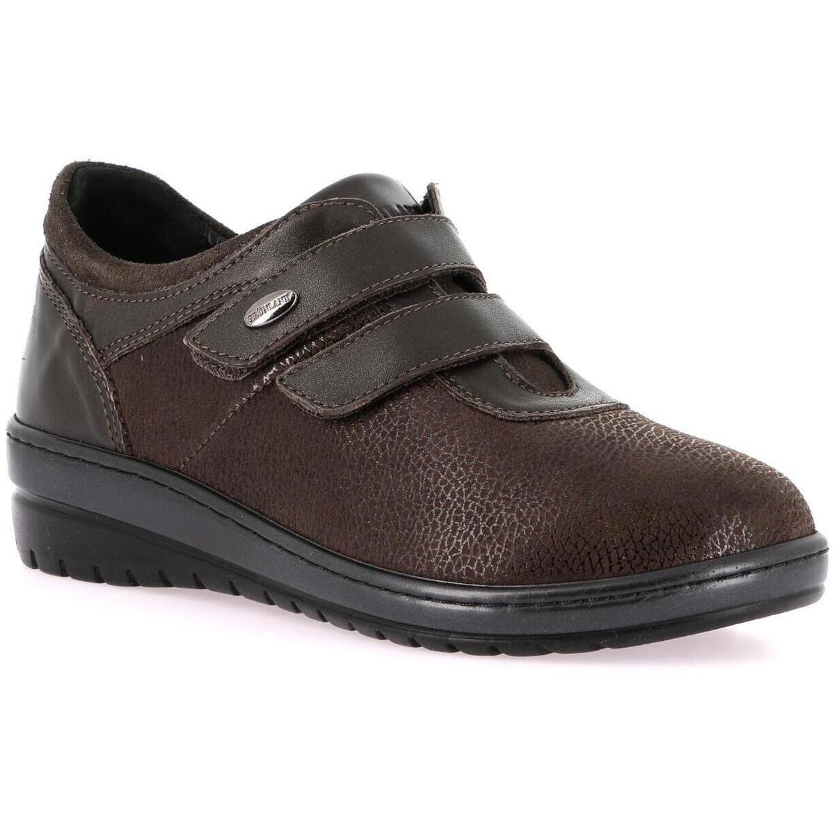 Oxfords Grunland DSG-SC6350