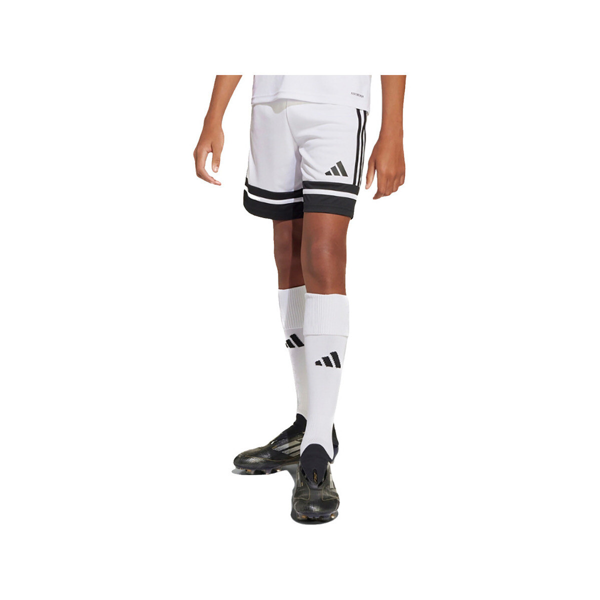 Shorts & Βερμούδες adidas Shorts squadra 25 100% polyester