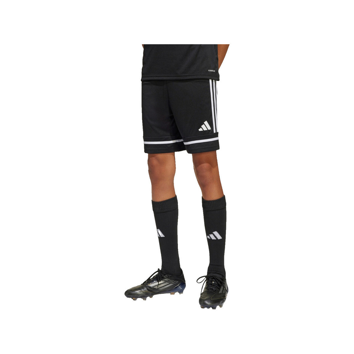 Shorts & Βερμούδες adidas Shorts squadra 25 100% polyester recyclé