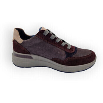 Sneakers Ara 57702