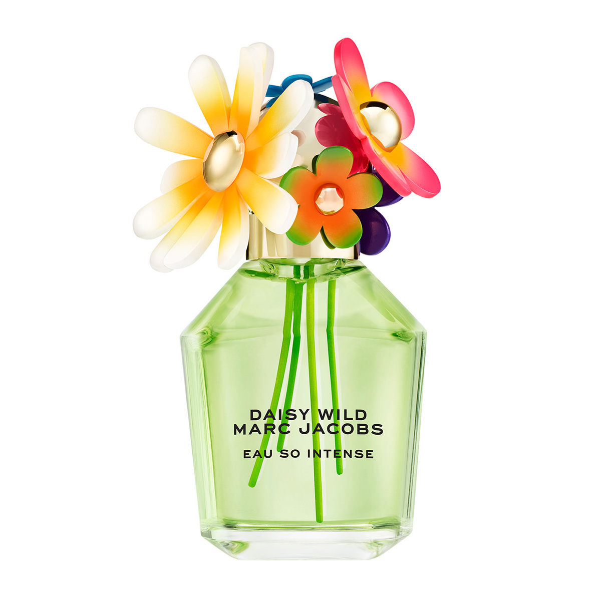 Daisy Wild Eau So Intense Eau De Parfum | 100ml