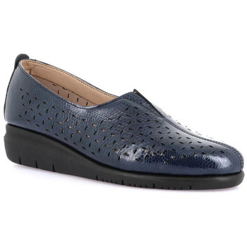 Oxfords Grunland DSG-SC5656