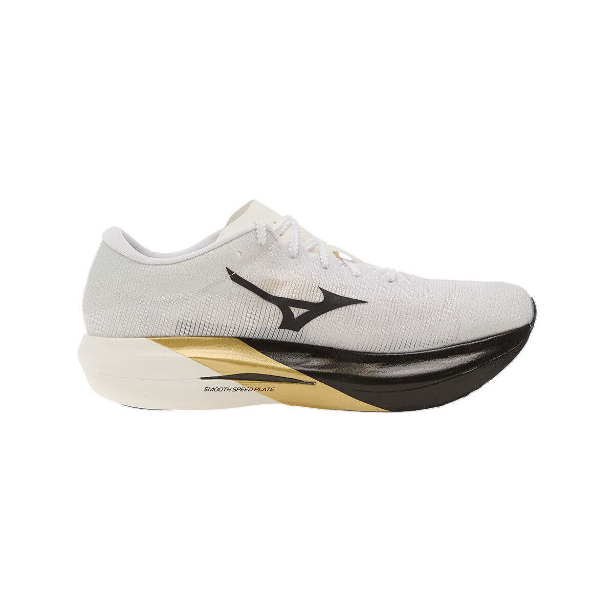Παπούτσια για τρέξιμο Mizuno Chaussures de running Hyperwarp Elite plaque carbone